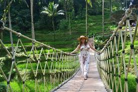 Ubud Full Day Tour / Person